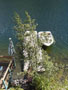 dock from stairs.jpg